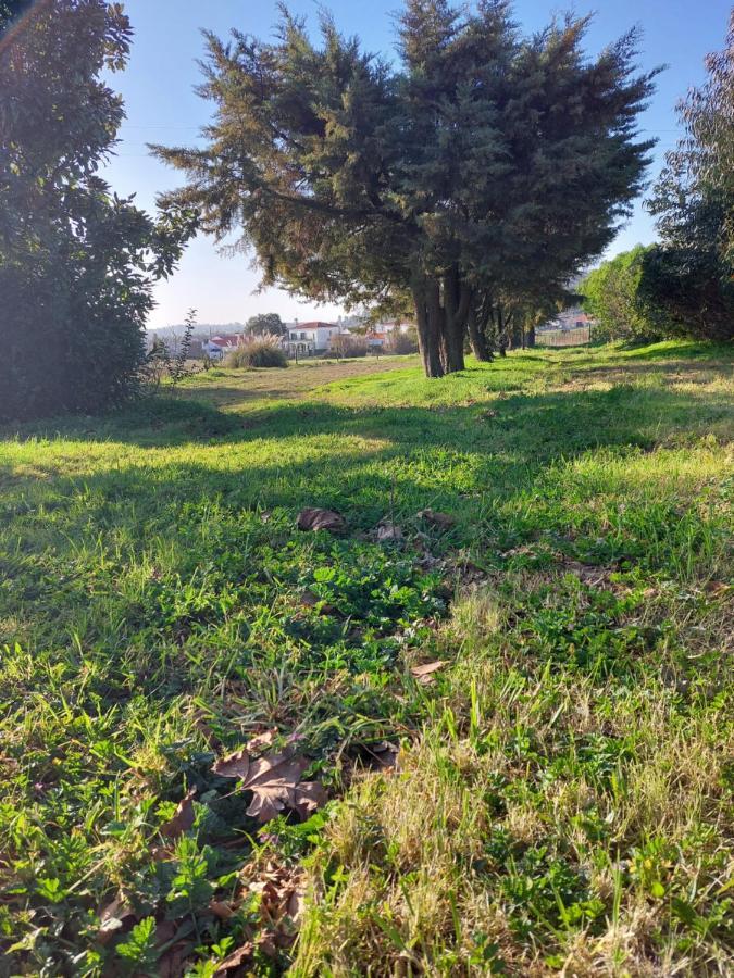 Quinta Cunte - Casa Sobreiro Villa São Luis Eksteriør billede