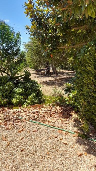 Quinta Cunte - Casa Sobreiro Villa São Luis Eksteriør billede