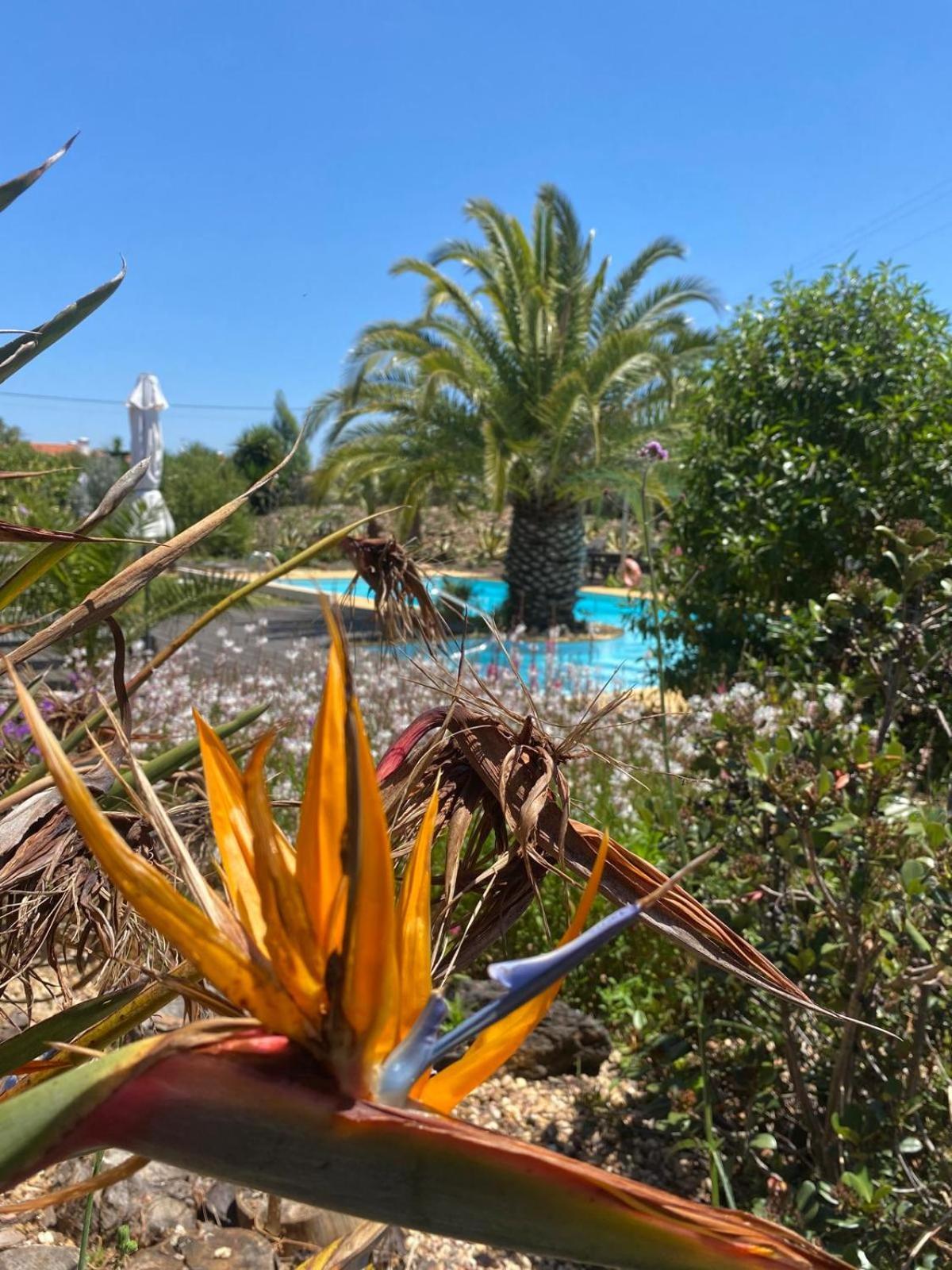 Quinta Cunte - Casa Sobreiro Villa São Luis Eksteriør billede