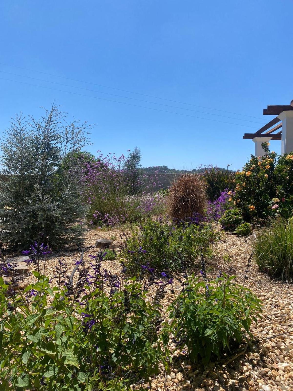 Quinta Cunte - Casa Sobreiro Villa São Luis Eksteriør billede