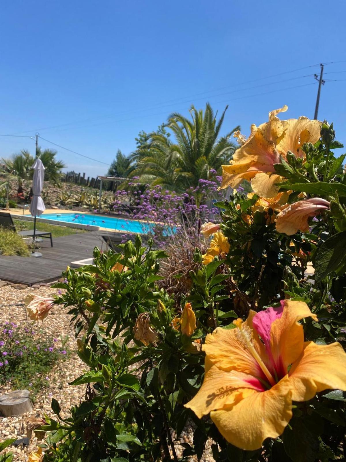 Quinta Cunte - Casa Sobreiro Villa São Luis Eksteriør billede