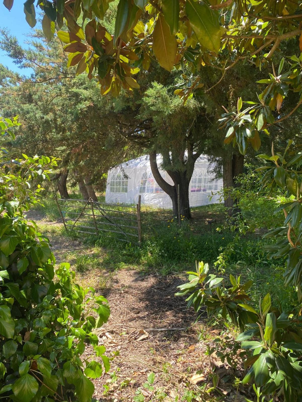 Quinta Cunte - Casa Sobreiro Villa São Luis Eksteriør billede