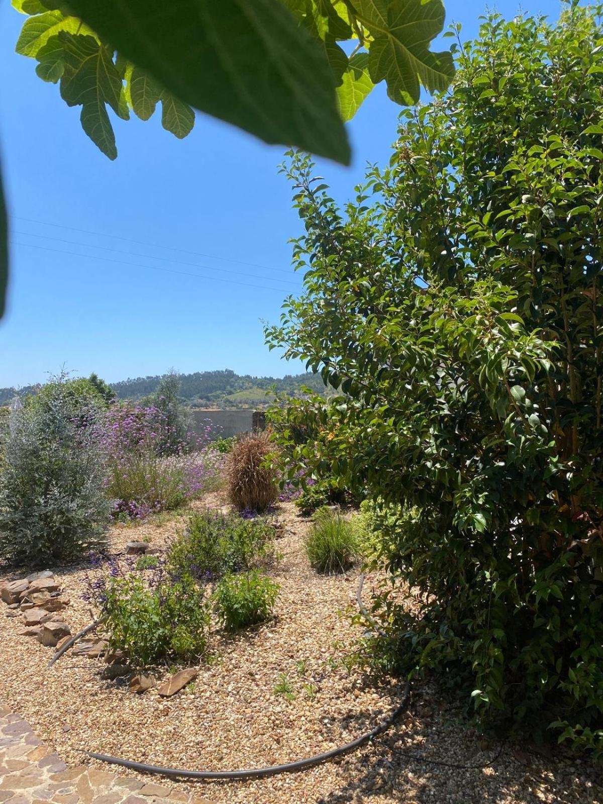 Quinta Cunte - Casa Sobreiro Villa São Luis Eksteriør billede